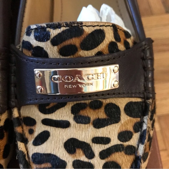 Coach Fredrica Leopard Haircalf Slip-on - Picture 14 of 16